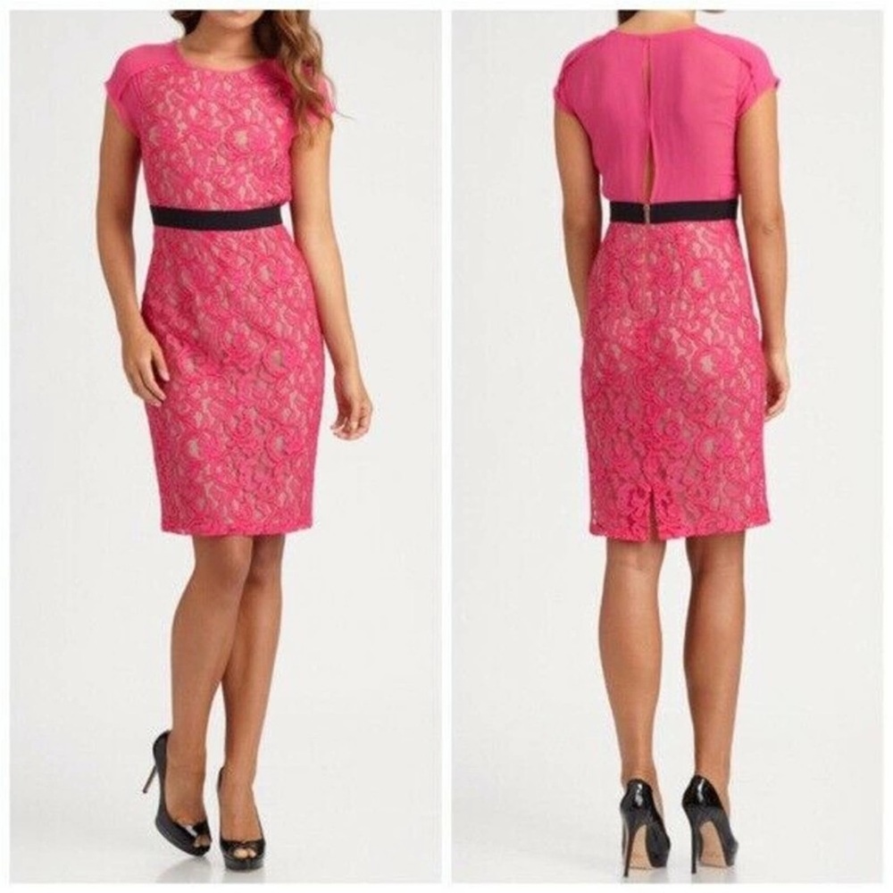 BCBG MaxAzria Lace Chara Begonia Dress